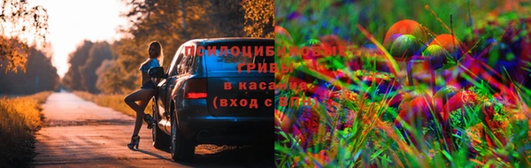 таблы Горнозаводск