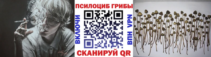 Галлюциногенные грибы GOLDEN TEACHER  Железногорск 